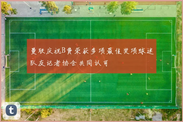 曼联庆祝B费荣获多项最佳奖项球迷队友记者协会共同认可