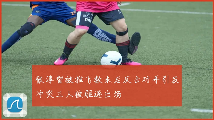 张淳智被推飞数米后反击对手引发冲突三人被驱逐出场